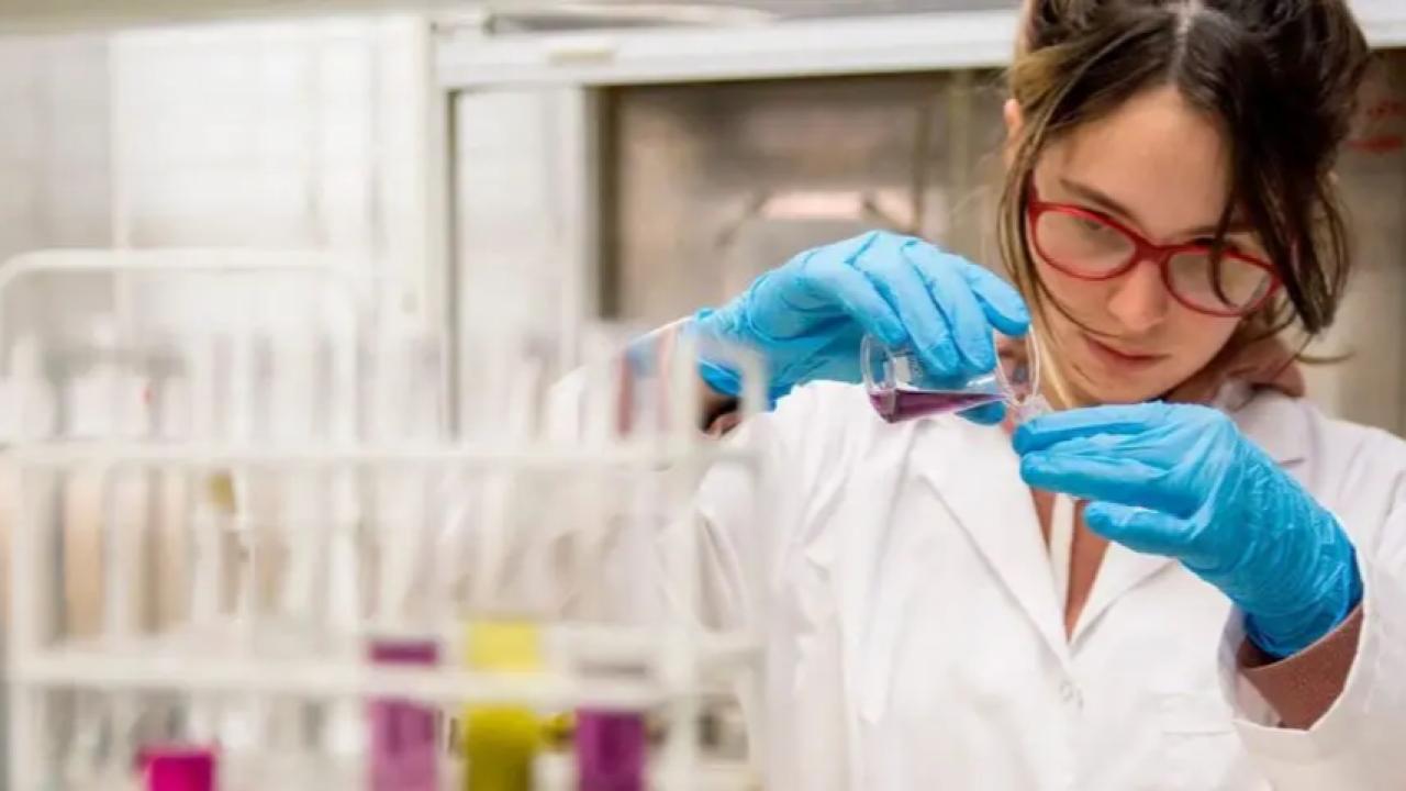 La cancelación de las convocatorias PICT 2022 y 2023 dejó sin financiamiento a proyectos ya evaluados y desató alarma en la comunidad científica. Institutos y redes académicas advierten que la medida profundiza el deterioro del sistema de investigación y afecta especialmente a la ciencia básica.