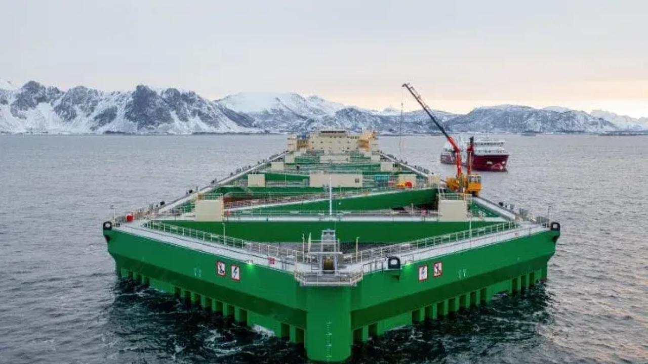 La industria global del salmón enfrenta un dilema estructural: cómo aumentar la producción para responder a la demanda mundial de alimentos sin profundizar el impacto ambiental sobre fiordos y ecosistemas costeros. En ese escenario, la tecnología aplicada a la acuicultura aparece como una de las claves para compatibilizar crecimiento, bienestar animal y preservación del ambiente.