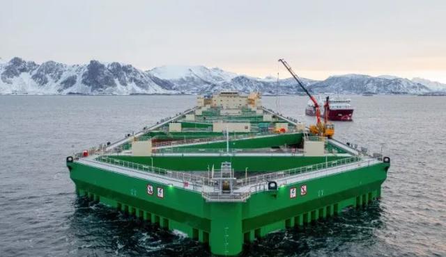 La industria global del salmón enfrenta un dilema estructural: cómo aumentar la producción para responder a la demanda mundial de alimentos sin profundizar el impacto ambiental sobre fiordos y ecosistemas costeros. En ese escenario, la tecnología aplicada a la acuicultura aparece como una de las claves para compatibilizar crecimiento, bienestar animal y preservación del ambiente.