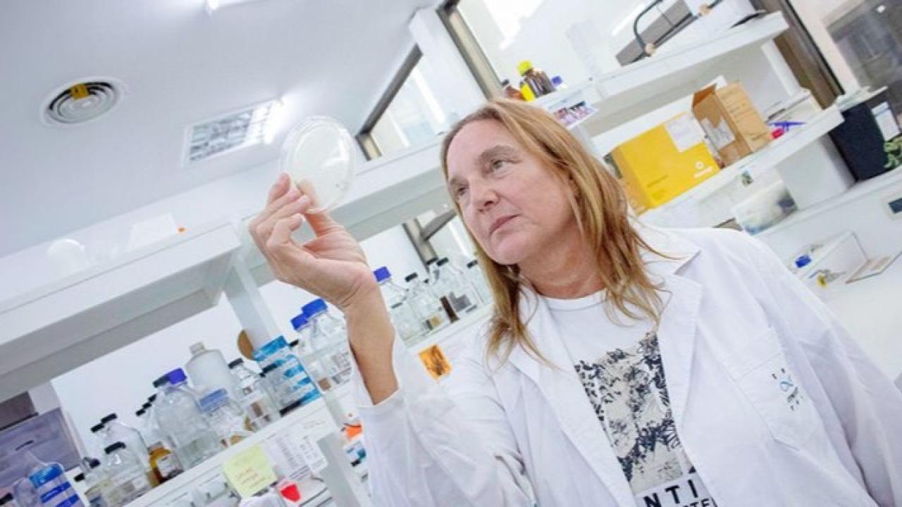 Aunque suele asociarse al pasado, la tuberculosis continúa siendo la principal causa de muerte por un agente infeccioso a nivel global. Solo en 2024 provocó alrededor de 1,2 millones de muertes, y en Argentina se notificaron 15.599 casos en 2025, según datos oficiales.
