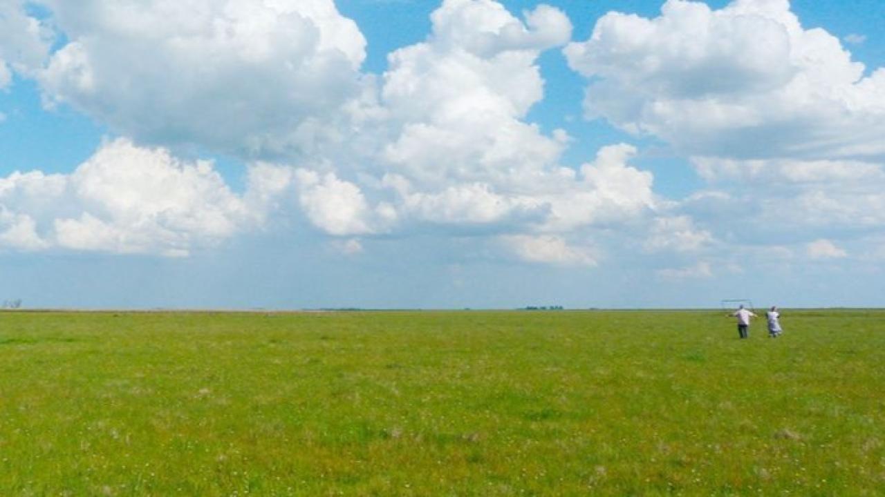 Un equipo internacional de científicos, con fuerte protagonismo del CONICET, publicó un estudio que busca resolver una de las tensiones centrales del sistema productivo global: cómo aumentar la producción ganadera sin comprometer la biodiversidad ni los servicios ecosistémicos. El trabajo, que abarca 79 sitios en seis continentes, fue destacado como tapa en la revista científica Frontiers in Ecology and the Environment en abril de 2026.
