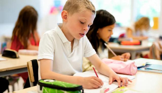 El gobierno de Suecia decidió reorientar su sistema educativo hacia métodos más tradicionales, con un énfasis renovado en libros físicos, cuadernos y escritura manual. El objetivo es claro: revertir la caída en los niveles de alfabetización detectada en los últimos años, incluso en uno de los países con mayor desarrollo digital del mundo.