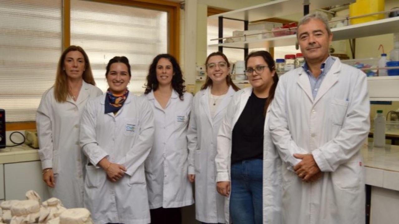 El desarrollo fue realizado por equipos del CONICET y la Universidad Nacional de La Plata. La levadura se obtiene a partir de un residuo de la industria láctea y ya fue transferida a una empresa biotecnológica para avanzar en su producción a gran escala.