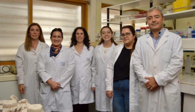 El desarrollo fue realizado por equipos del CONICET y la Universidad Nacional de La Plata. La levadura se obtiene a partir de un residuo de la industria láctea y ya fue transferida a una empresa biotecnológica para avanzar en su producción a gran escala.