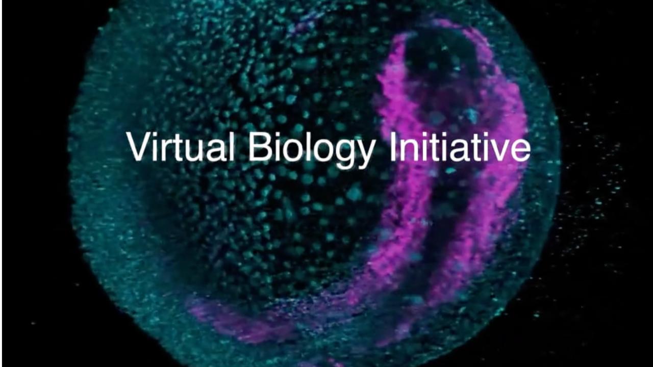 La organización sin fines de lucro Biohub, liderada por Mark Zuckerberg y Priscilla Chan, destinará 500 millones de dólares en los próximos cinco años para desarrollar simulaciones de inteligencia artificial del cuerpo humano, según informó Axios en exclusiva.