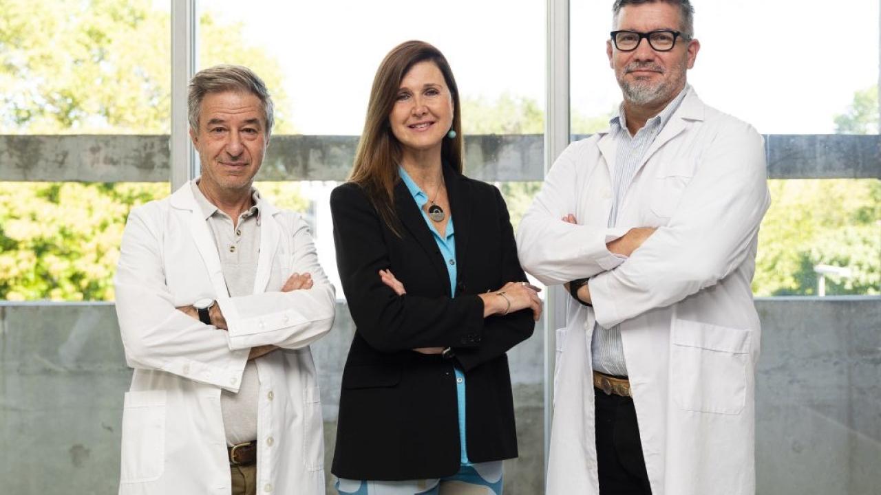 La startup biotecnológica Crofabiotech, incubada en la Universidad Nacional de San Martín, logró el nacimiento del primer cerdo clonado con tres modificaciones genéticas de inactivación en América Latina. El desarrollo, conocido como “triple knockout”, busca reducir el rechazo inmunológico en futuros xenotrasplantes y posiciona a la Argentina junto a Estados Unidos y China en una de las áreas más estratégicas de la biotecnología médica.