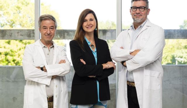 La startup biotecnológica Crofabiotech, incubada en la Universidad Nacional de San Martín, logró el nacimiento del primer cerdo clonado con tres modificaciones genéticas de inactivación en América Latina. El desarrollo, conocido como “triple knockout”, busca reducir el rechazo inmunológico en futuros xenotrasplantes y posiciona a la Argentina junto a Estados Unidos y China en una de las áreas más estratégicas de la biotecnología médica.