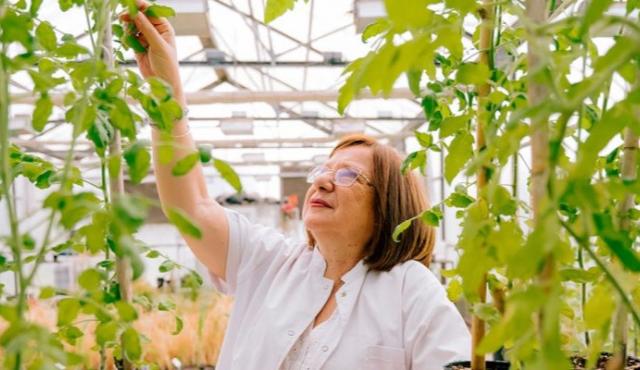 La especialista en agrobiotecnología fue distinguida por sus investigaciones sobre genes vegetales capaces de mejorar la tolerancia de cultivos como trigo, maíz, arroz y soja frente a sequías, inundaciones y otros efectos del estrés ambiental.