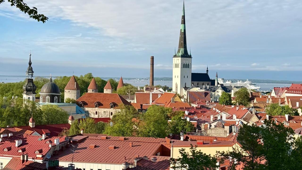 Recién concluye una misión institucional con intendentes y funcionarios de gobiernos locales de Argentina realizada en Finlandia y Estonia, donde conocimos por dentro el sistemas de educación, procesos de digitalización estatal, modelos de innovación pública y herramientas de interoperabilidad.