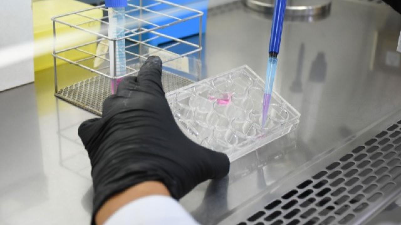 La Universidad Nacional del Litoral y el Conicet obtuvieron tres nuevas patentes vinculadas al desarrollo de biofármacos, tratamientos para enfermedades virales y nanopartículas aplicadas a medicamentos y suplementos.
