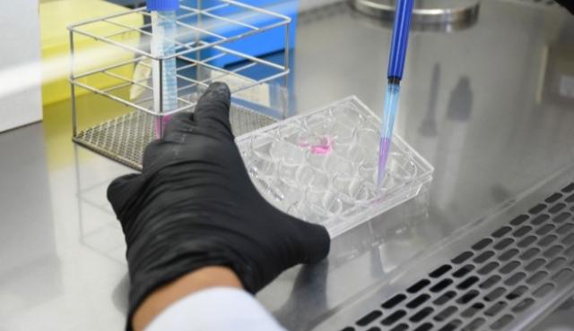 La Universidad Nacional del Litoral y el Conicet obtuvieron tres nuevas patentes vinculadas al desarrollo de biofármacos, tratamientos para enfermedades virales y nanopartículas aplicadas a medicamentos y suplementos.