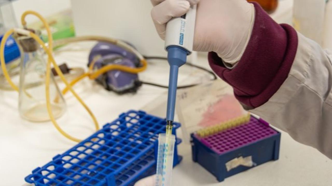 Un equipo de investigación del CONICET identificó una posible vía alternativa para el tratamiento del dolor crónico patológico a partir del estudio de medicamentos ya disponibles y utilizados originalmente para regular la presión arterial.