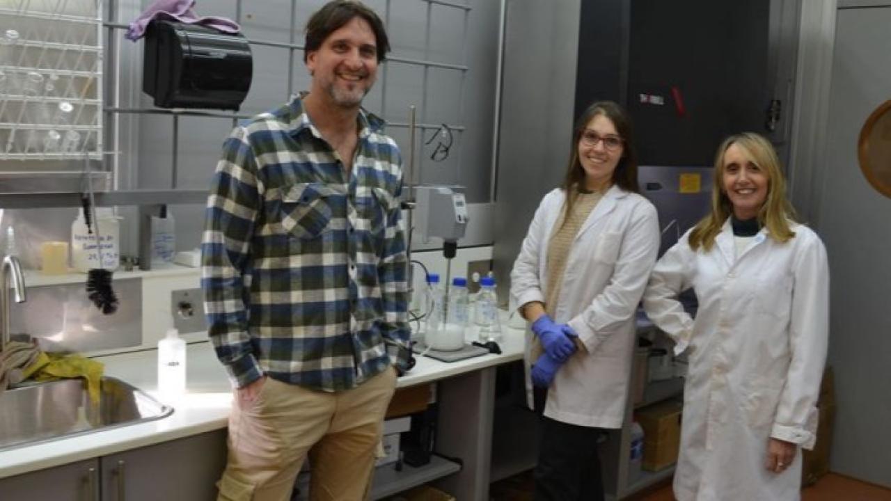 Investigadores del CONICET y la Universidad Nacional del Litoral avanzan en el desarrollo de nanocápsulas capaces de liberar nutrientes de forma gradual. La tecnología ya se prueba en cultivos de trigo y maíz y busca reducir costos, mejorar los rendimientos y disminuir el impacto ambiental.