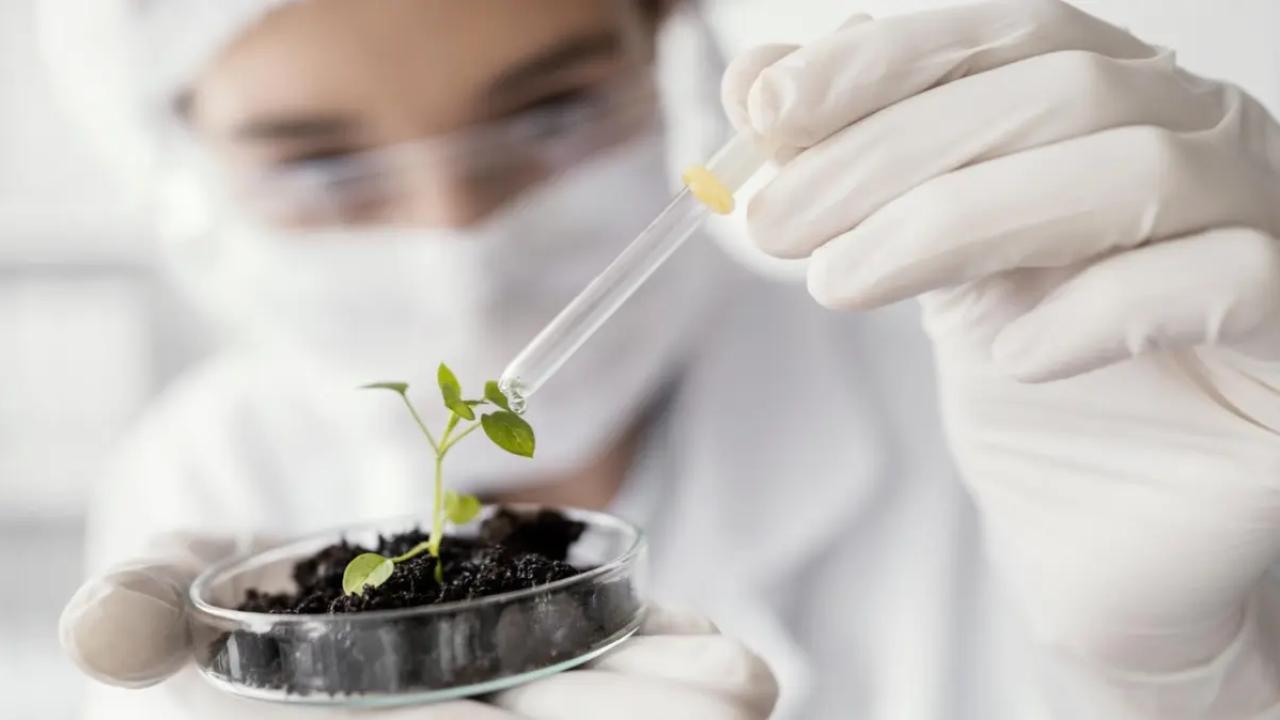 Investigadores y empresas argentinas avanzan en el desarrollo de bioestimulantes nanotecnológicos capaces de aumentar la resistencia de los cultivos frente a las heladas y otros eventos climáticos extremos. Ensayos realizados en el país reportan mejoras de rendimiento de hasta un 32% en condiciones de estrés severo.