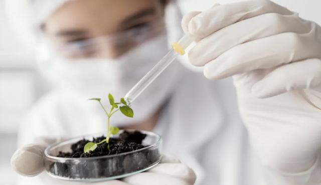 Investigadores y empresas argentinas avanzan en el desarrollo de bioestimulantes nanotecnológicos capaces de aumentar la resistencia de los cultivos frente a las heladas y otros eventos climáticos extremos. Ensayos realizados en el país reportan mejoras de rendimiento de hasta un 32% en condiciones de estrés severo.