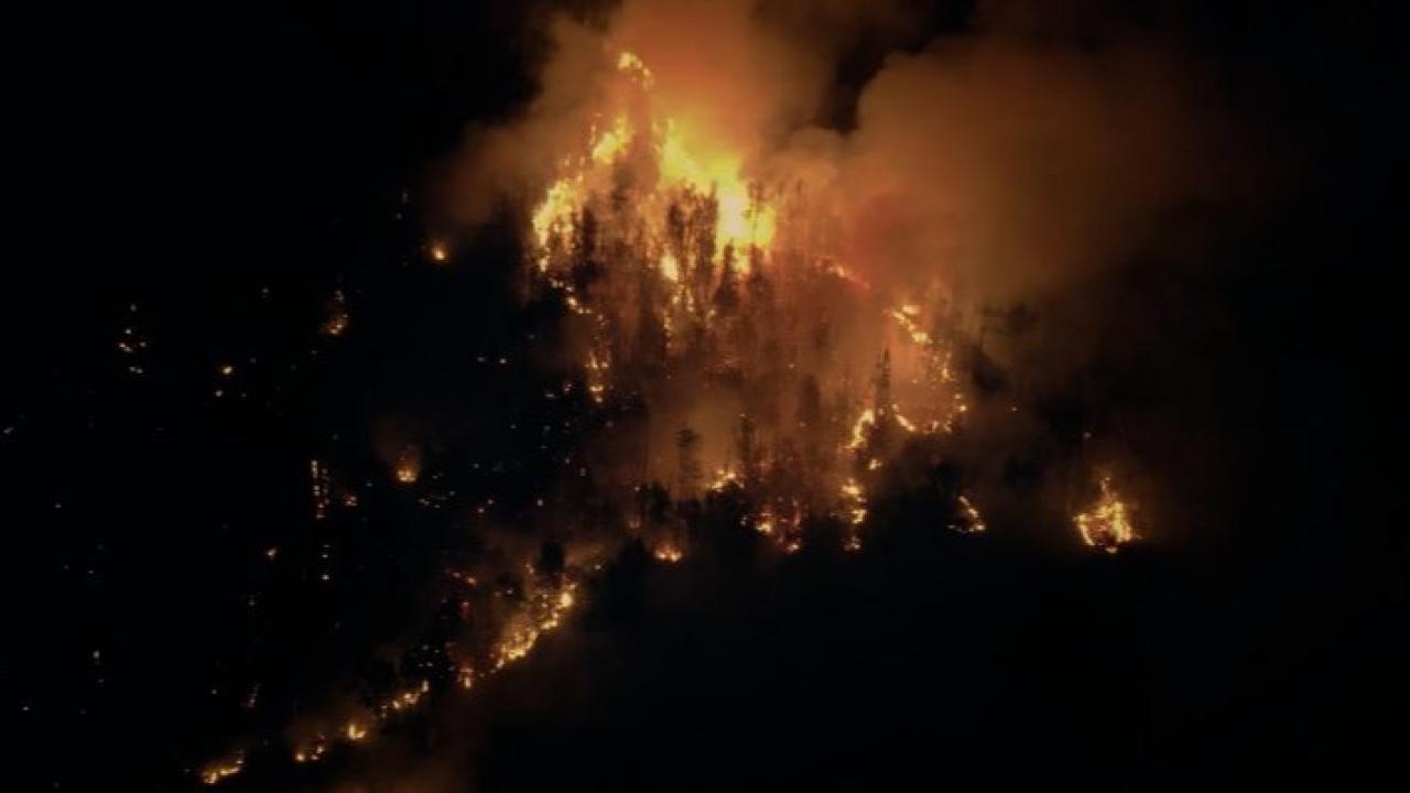 A través de cuatro informes, la iniciativa acerca a la comunidad el conocimiento generado por especialistas del CONICET para comprender, prevenir y actuar frente a los incendios forestales en la región patagónica.