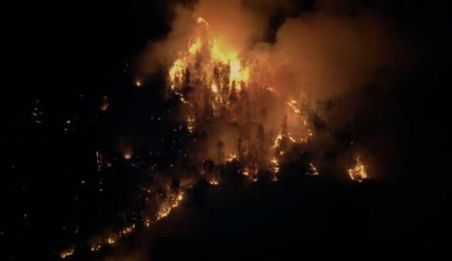 A través de cuatro informes, la iniciativa acerca a la comunidad el conocimiento generado por especialistas del CONICET para comprender, prevenir y actuar frente a los incendios forestales en la región patagónica.