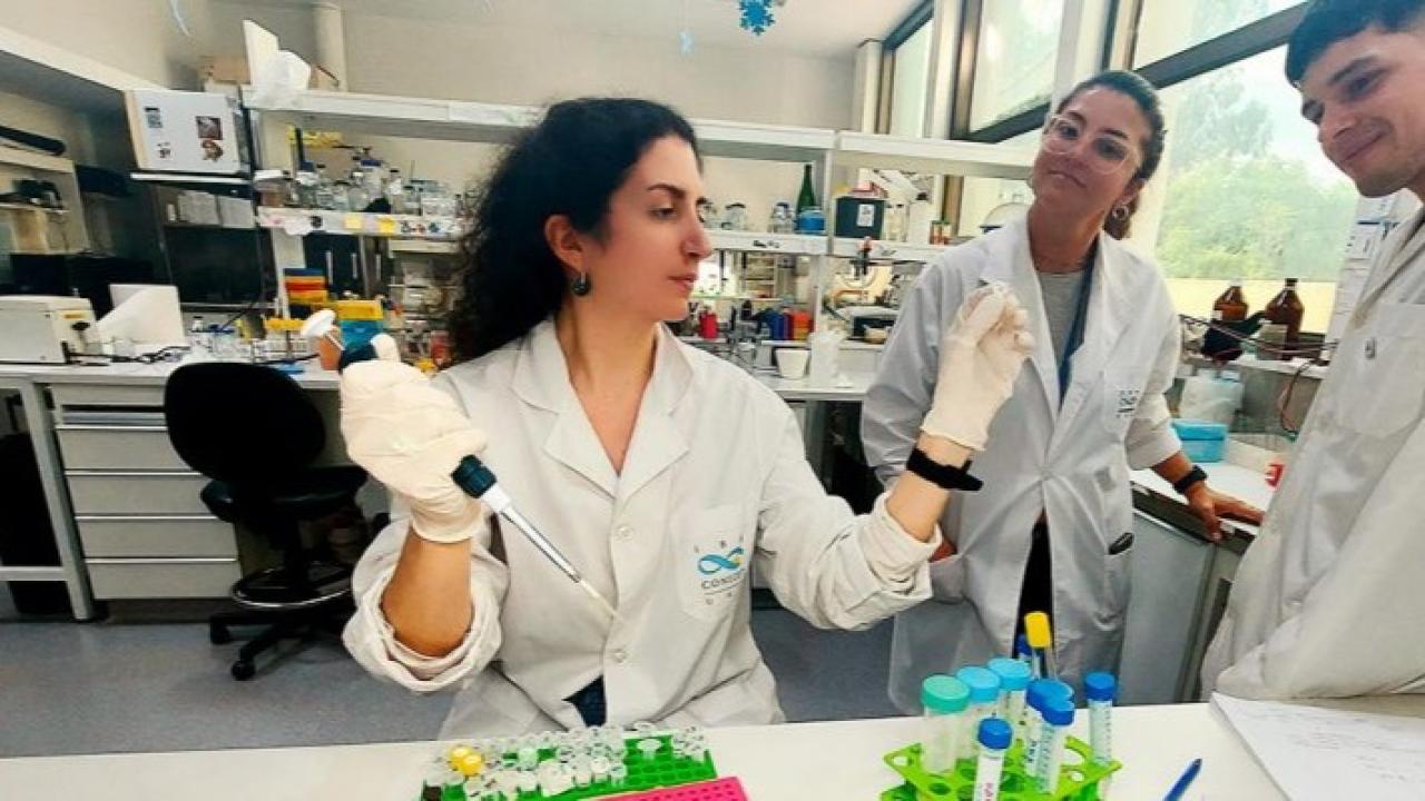 Investigadores del CONICET desarrollan en Rosario una nueva herramienta de diagnóstico basada en aptámeros.