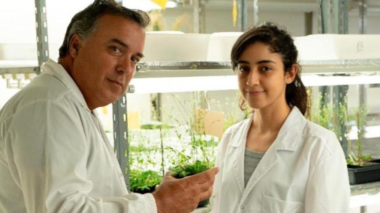 Un equipo internacional de científicos, con participación de investigadores del CONICET, descubrió cómo una bacteria que vive en el interior de las raíces puede mejorar la capacidad de las plantas para enfrentar la falta de agua. El hallazgo abre una posible vía para desarrollar bioinsumos de bajo costo y menor impacto ambiental destinados a cultivos expuestos a condiciones de sequía.