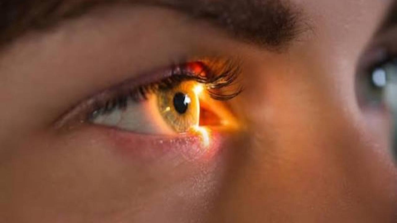 Dos candidatos de Kodiak Sciences alcanzaron el objetivo principal de un ensayo de fase 3 para la degeneración macular húmeda. Uno de ellos permitió espaciar las dosis hasta seis meses en parte de los participantes. Ambos siguen pendientes de evaluación regulatoria.
