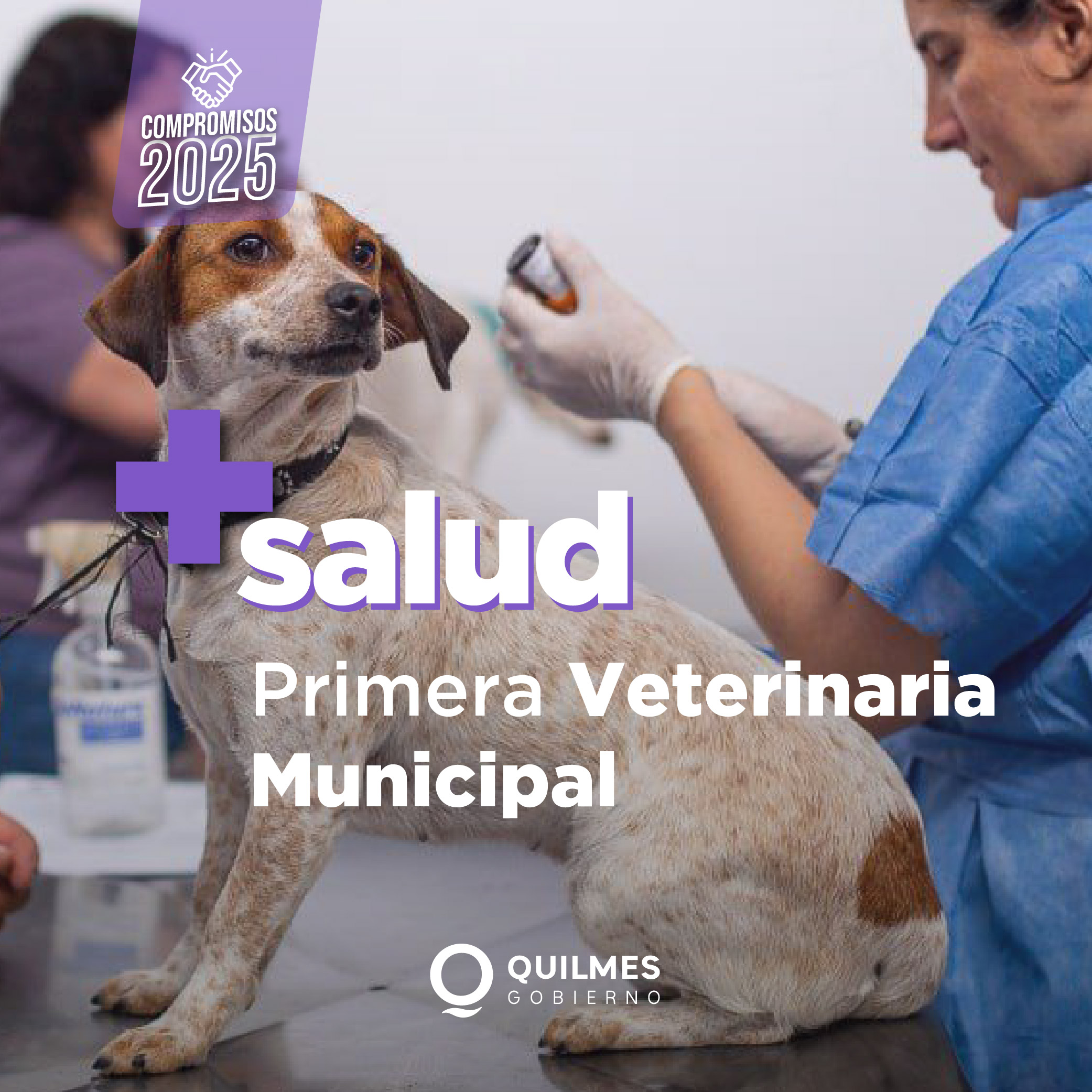 Publicidad Quilmes primera veterinaria municipal