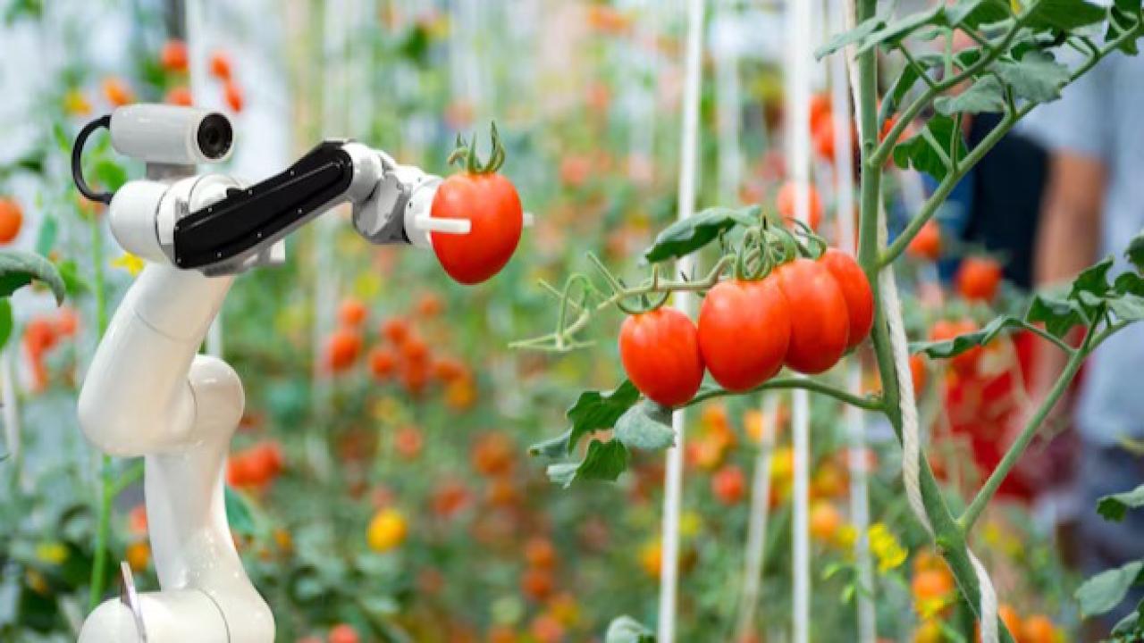 En un contexto donde el interés por la vida sustentable y el autocultivo crece día a día, muchos habitantes urbanos se enfrentan a un desafío común: la falta de espacio. Sin embargo, la tecnología, y en particular la Inteligencia Artificial, está comenzando a ofrecer soluciones prácticas para transformar balcones, terrazas y pequeños patios en verdaderas huertas productivas.
