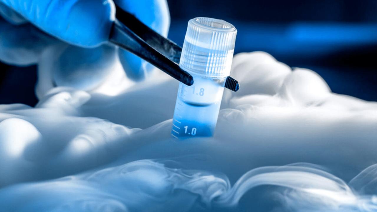 En un mundo donde la tecnología redefine límites, la medicina reproductiva no se queda atrás. Las técnicas de reproducción asistida (TRA), como la fecundación in vitro (FIV), han evolucionado notablemente. 