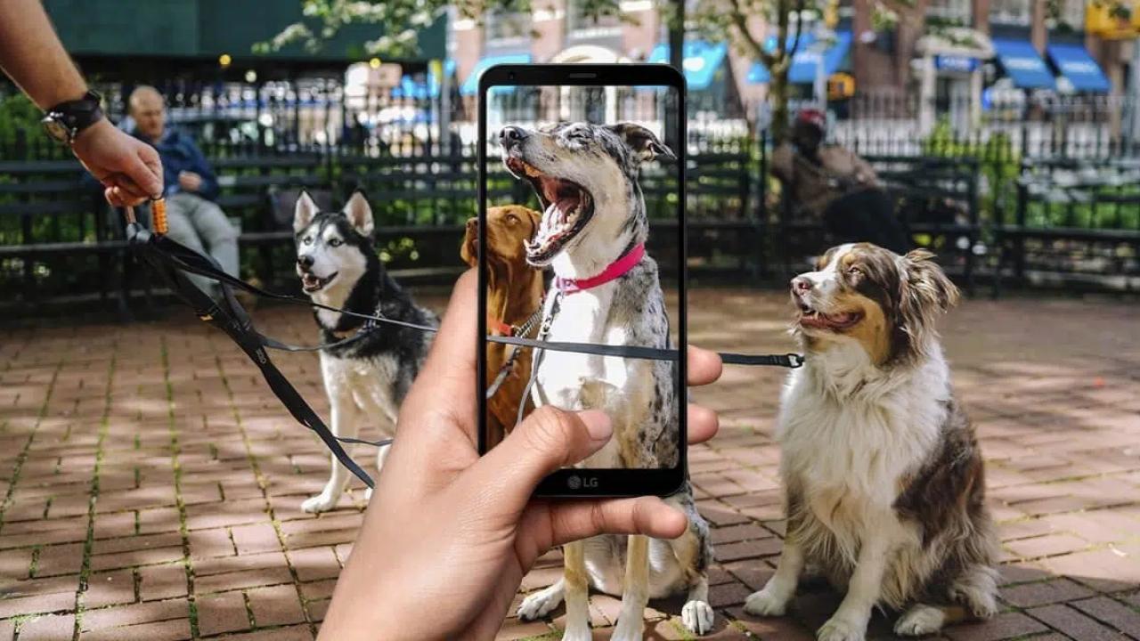 Elegir un perro no es solo una cuestión de gustos: cada raza tiene necesidades, niveles de energía y comportamientos distintos. ¿Y si la tecnología pudiera ayudarte a encontrar al compañero perfecto? Hoy, gracias a herramientas basadas en Inteligencia Artificial (IA), este proceso es más fácil, rápido y responsable.

