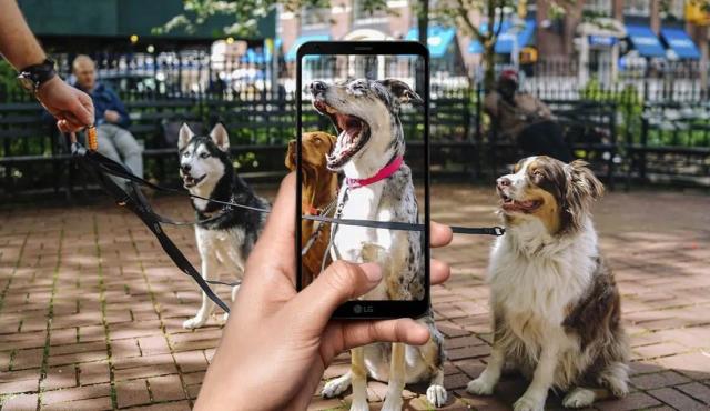 Elegir un perro no es solo una cuestión de gustos: cada raza tiene necesidades, niveles de energía y comportamientos distintos. ¿Y si la tecnología pudiera ayudarte a encontrar al compañero perfecto? Hoy, gracias a herramientas basadas en Inteligencia Artificial (IA), este proceso es más fácil, rápido y responsable.
