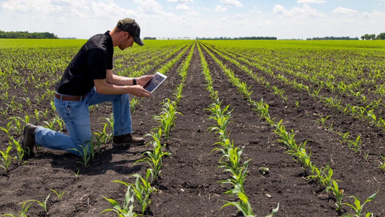 El campo vive una revolución silenciosa impulsada por la tecnología. Empresas agropecuarias y agroindustriales están adoptando soluciones innovadoras que transforman la producción, mejoran la eficiencia y abren nuevas oportunidades de sostenibilidad y competitividad en el mercado global.

