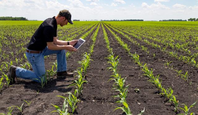 El campo vive una revolución silenciosa impulsada por la tecnología. Empresas agropecuarias y agroindustriales están adoptando soluciones innovadoras que transforman la producción, mejoran la eficiencia y abren nuevas oportunidades de sostenibilidad y competitividad en el mercado global.
