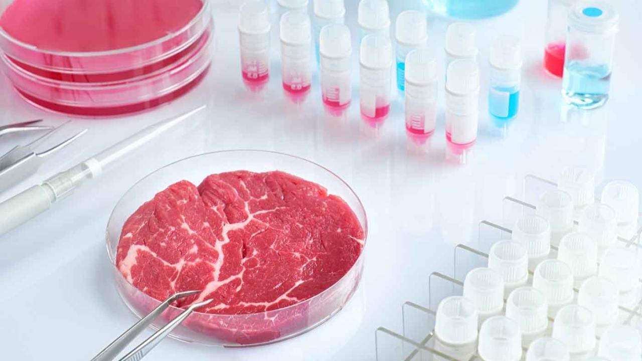 Carne cultivada, hamburguesas vegetales e insectos comestibles están transformando la forma en que comemos. Cómo avanza esta revolución alimentaria a nivel global y qué lugar ocupa Argentina en este nuevo mapa de proteínas.