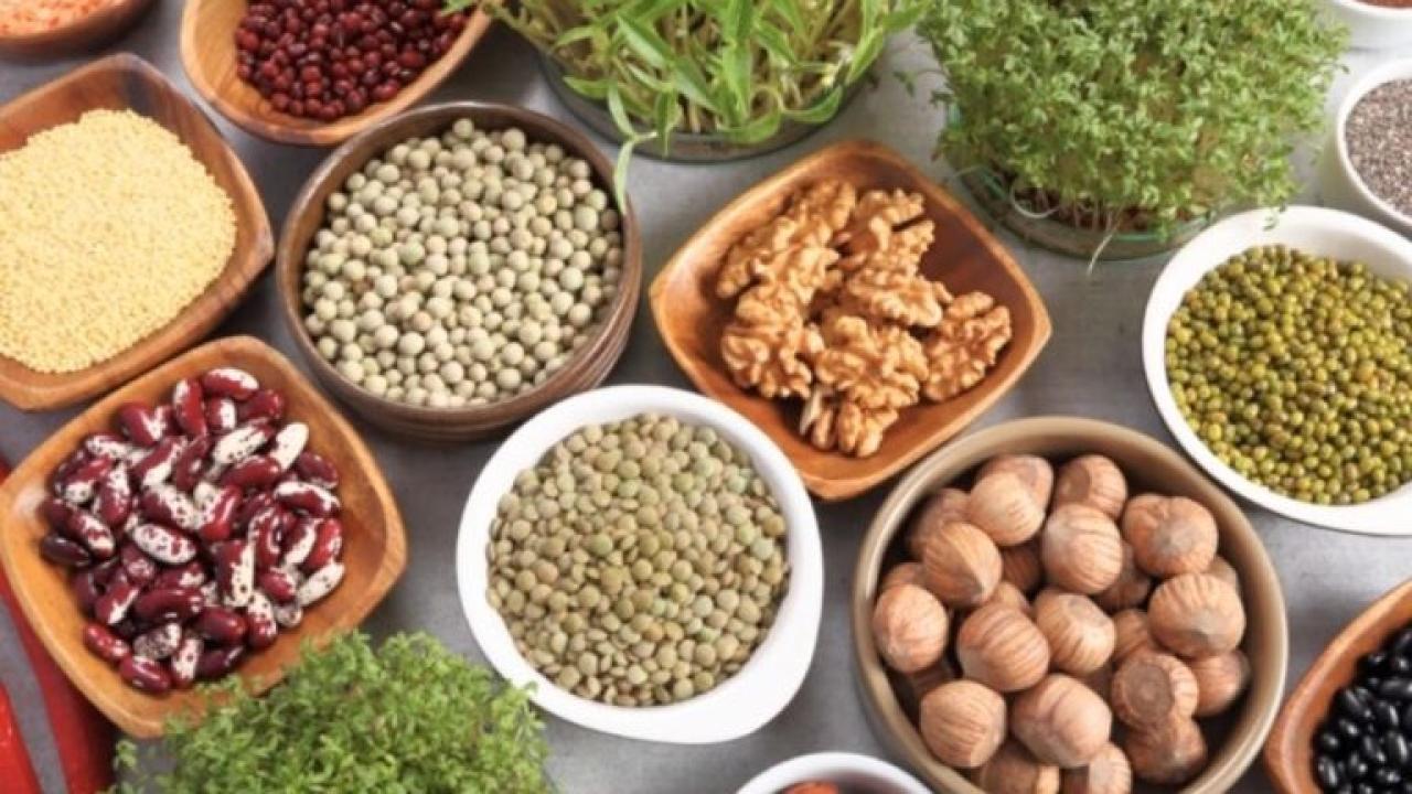 En un mundo que demanda más alimentos, más sanos y más sostenibles, Argentina tiene una carta fuerte para jugar: convertirse en una meca global de proteínas, tanto de origen animal como vegetal y alternativo. La clave está en combinar su histórica capacidad agroalimentaria con tecnología e innovación de avanzada.
