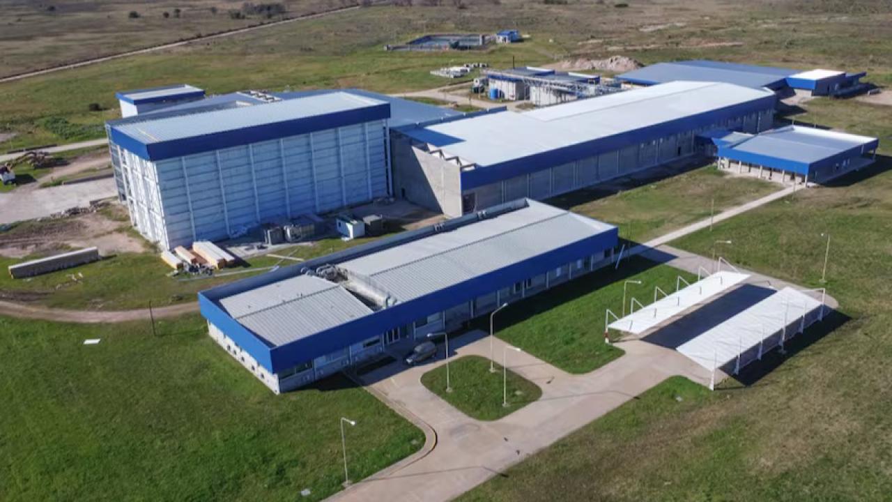 Con una inversión de US$ 35 millones, Carnes Porcinas Seleccionadas (CPS) inauguró una planta de última generación en General Las Heras, ubicada a solo 56 km de Ezeiza. El establecimiento fue desarrollado en un predio de 38 hectáreas, cuenta con 18.000 m² cubiertos y tiene la capacidad de faenar hasta 2.000 cerdos por día, lo que equivale a aproximadamente 40.000 animales por mes.