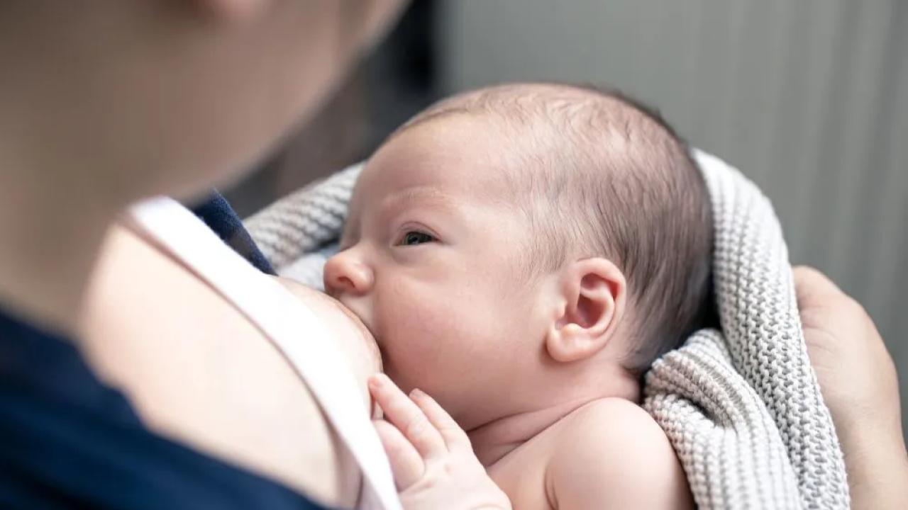 

La lactancia materna siempre fue un acto profundamente humano, biológico y emocional. Pero en los últimos años, la tecnología comenzó a desempeñar un papel clave en mejorar esa experiencia, haciendo más accesible, eficiente y acompañada la etapa de amamantar. En esta Semana Mundial de la Lactancia Materna, los avances tecnológicos ofrecen nuevas herramientas para que cada madre pueda vivir esta etapa con mayor autonomía y bienestar.