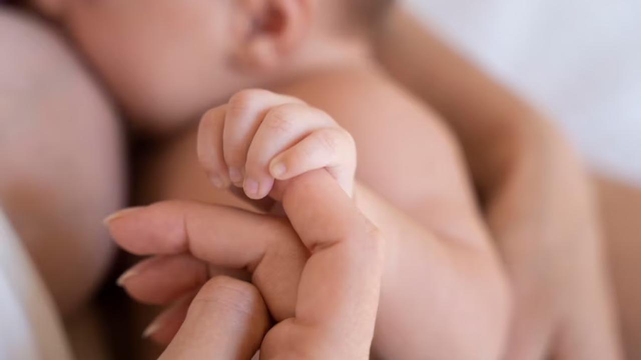 En la Semana Mundial de la Lactancia Materna, crecen las iniciativas digitales y tecnológicas que apoyan a madres y personas lactantes en todo el país
