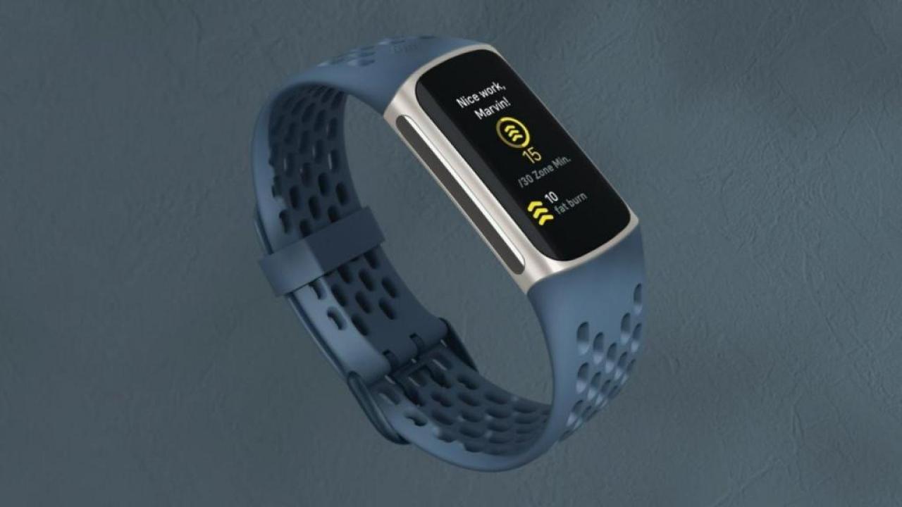 La tecnología wearable ya no solo mide pasos o calorías: ahora también promete decirnos qué tan estresados estamos. Marcas como Fitbit, Garmin y Samsung incorporaron en sus pulseras y relojes inteligentes sensores que analizan variables biológicas vinculadas al estrés.
