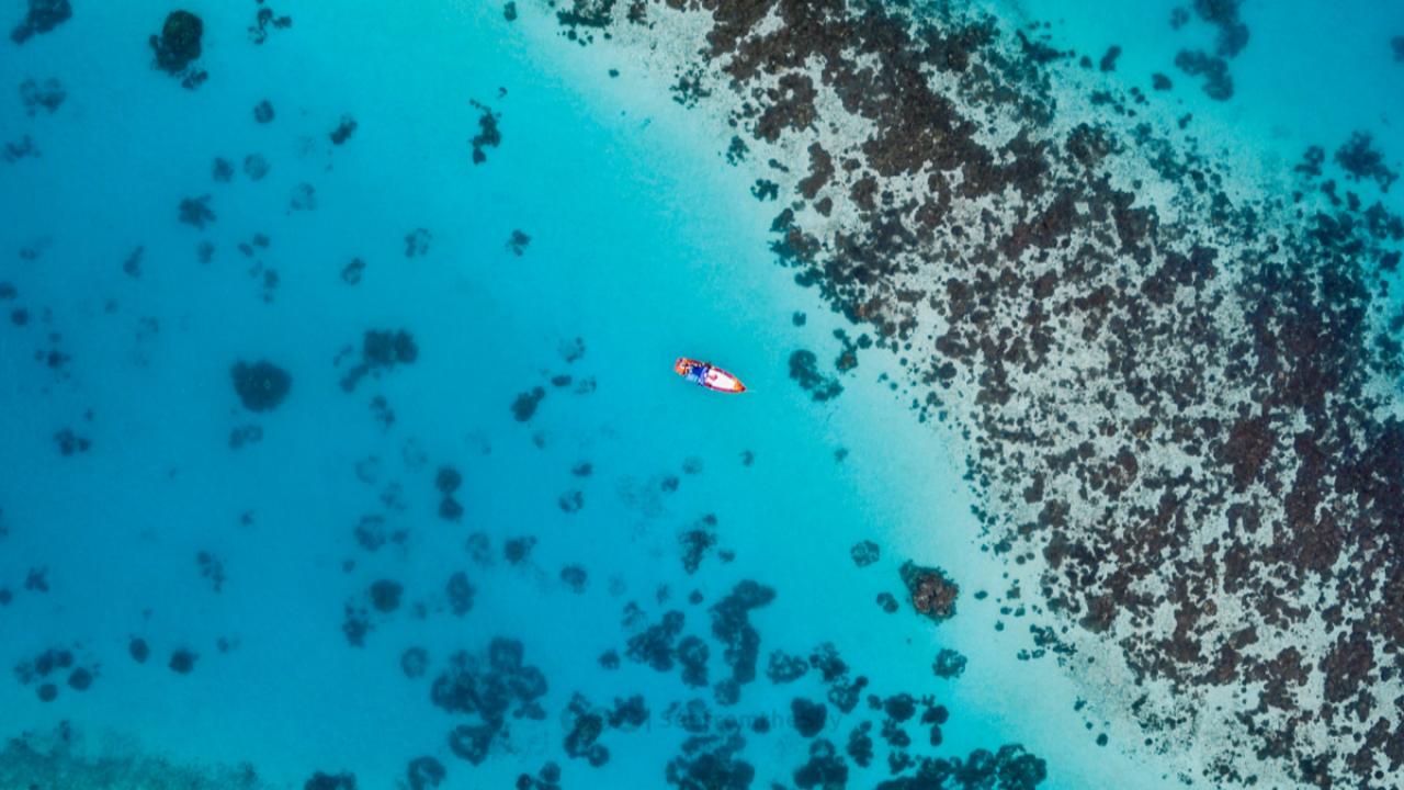Conservacionistas utilizan inteligencia artificial y datos satelitales para crear gemelos digitales ambientales que permiten mapear con precisión los arrecifes y anticipar amenazas como el blanqueamiento y los huracanes. La innovación busca revertir la pérdida de coral y preservar la biodiversidad marina en el Caribe.
