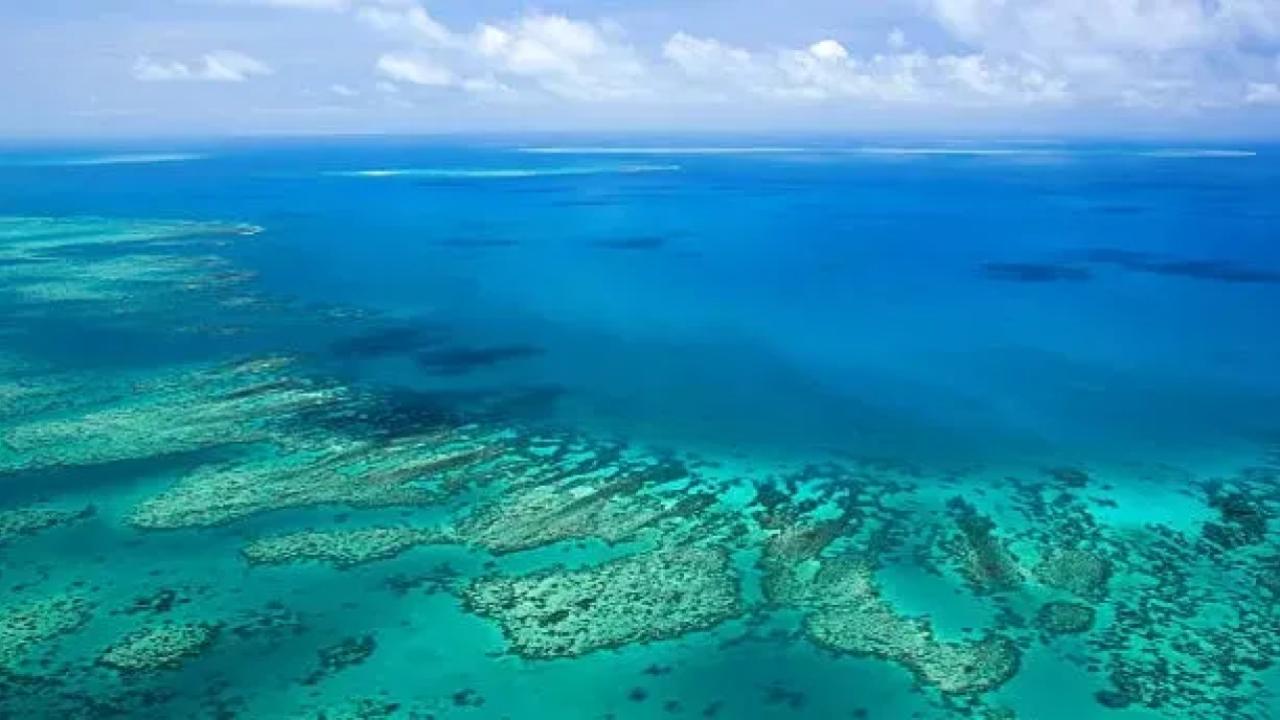 Conservacionistas utilizan inteligencia artificial y datos satelitales para crear gemelos digitales ambientales que permiten mapear con precisión los arrecifes y anticipar amenazas como el blanqueamiento y los huracanes. La innovación busca revertir la pérdida de coral y preservar la biodiversidad marina en el Caribe.
