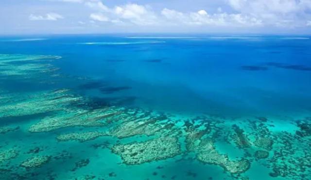 Conservacionistas utilizan inteligencia artificial y datos satelitales para crear gemelos digitales ambientales que permiten mapear con precisión los arrecifes y anticipar amenazas como el blanqueamiento y los huracanes. La innovación busca revertir la pérdida de coral y preservar la biodiversidad marina en el Caribe.
