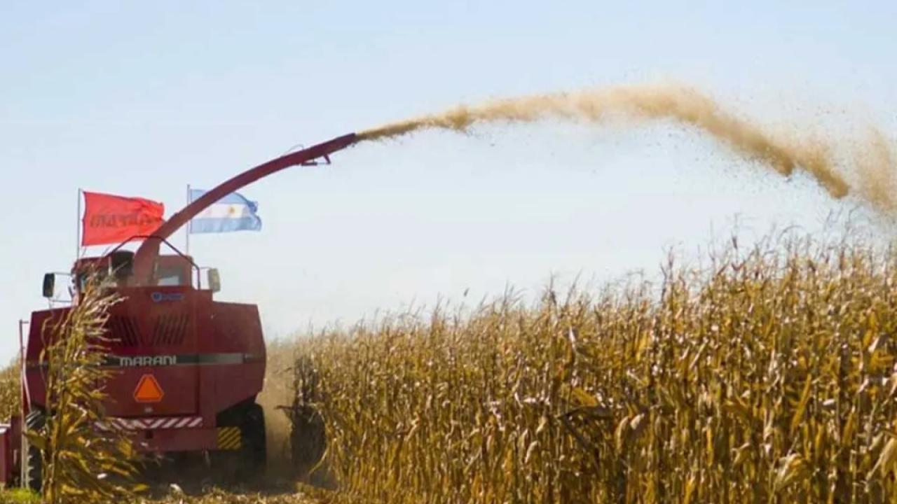 La medida de Luis Caputo para suspender retenciones a granos hasta agotar un cupo de US$ 7.000 millones fue capturada en apenas tres días por un puñado de cerealeras multinacionales. El enojo del campo, la falta de acceso de los productores y las consecuencias para la próxima campaña agrícola revelan la necesidad de mayor transparencia y herramientas tecnológicas en el agro argentino.