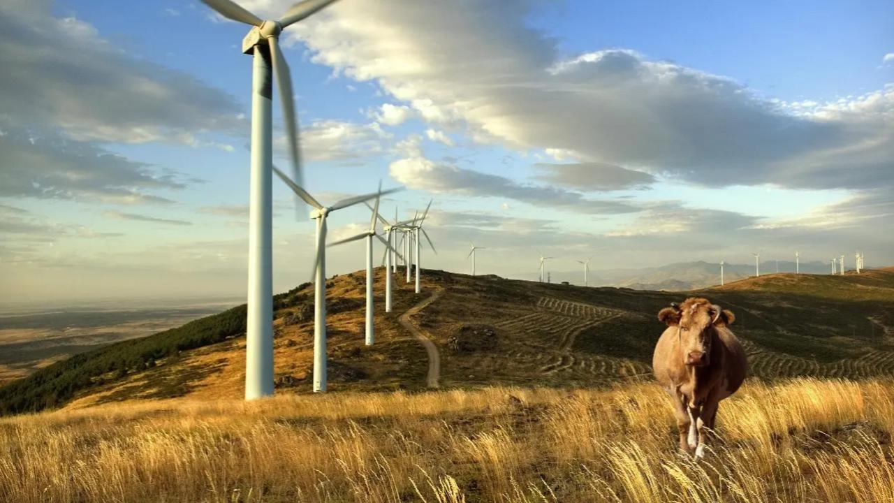 El país logró cubrir toda su demanda eléctrica con fuentes limpias, principalmente hidráulica, eólica y biomasa. Un hito que consolida a Uruguay como referente regional en transición energética.
