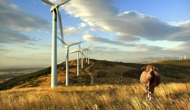 El país logró cubrir toda su demanda eléctrica con fuentes limpias, principalmente hidráulica, eólica y biomasa. Un hito que consolida a Uruguay como referente regional en transición energética.
