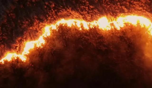 En un mundo cada vez más expuesto a eventos climáticos extremos, el programa FireGuard —descrito en un artículo reciente en el blog de Esri— representa un cambio de paradigma en cómo abordamos los incendios forestales.