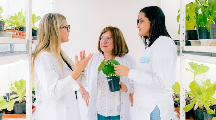 &ldquo;Junto con mi equipo, hemos identificado genes espec&iacute;ficos que hacen que determinadas plantas sean m&aacute;s resilientes. Estamos aplicando ese conocimiento para proteger cultivos m&aacute;s vulnerables. En particular, hemos dedicado nuestro trabajo a ayudar a las plantas a enfrentar el d&eacute;ficit h&iacute;drico, las inundaciones, el fr&iacute;o, el anegamiento, las altas temperaturas y otros factores de estr&eacute;s ambiental&rdquo;, se&ntilde;ala Chan.  La investigadora del CONICET, Raquel Chan fue distinguida con el prestigioso premio internacional L&rsquo;Or&eacute;al-UNESCO &ldquo;Por las Mujeres en la Ciencia&rdquo;.