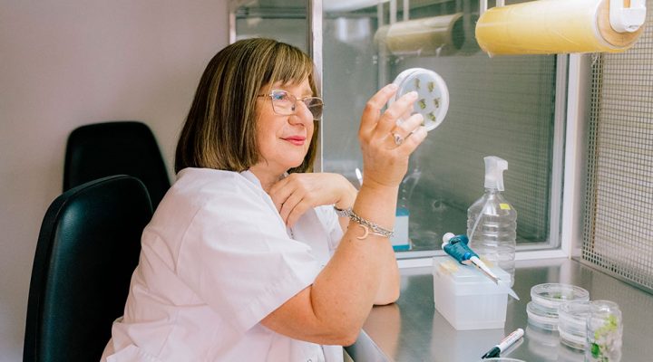 La investigadora del CONICET, Raquel Chan fue distinguida con el prestigioso premio internacional L&rsquo;Or&eacute;al-UNESCO &ldquo;Por las Mujeres en la Ciencia&rdquo;.