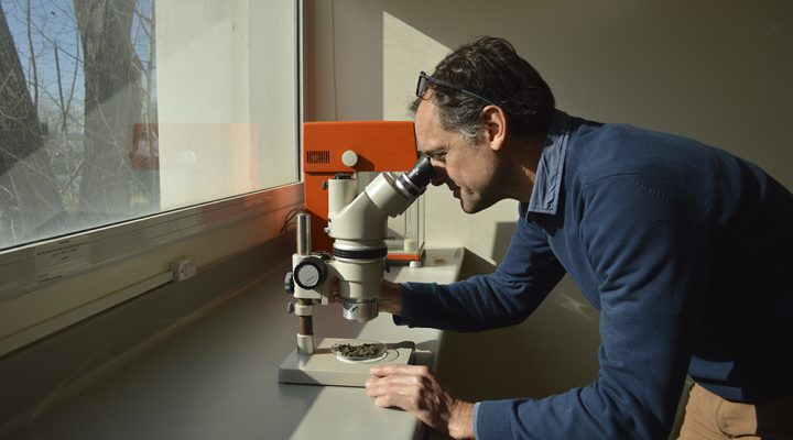 Ernesto Schwarz. Foto: CONICET Fotograf&iacute;a/R. Barid&oacute;n.