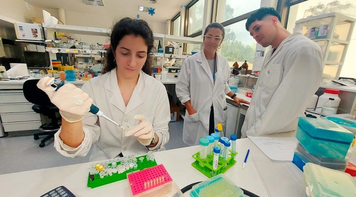 Agustina Cerri, Gianluca Auad y Elisa Bolatti. Foto: IBR