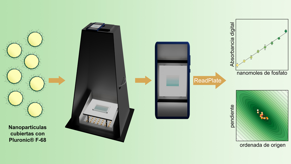 La tecnolog&iacute;a econ&oacute;mica, r&aacute;pida y port&aacute;til para medir fosfato, desarrollada por especialistas del CONICET y de la UBA, se basa en el empleo de tel&eacute;fonos inteligentes. Puede tener aplicaciones en agricultura, salud y otras &aacute;reas.