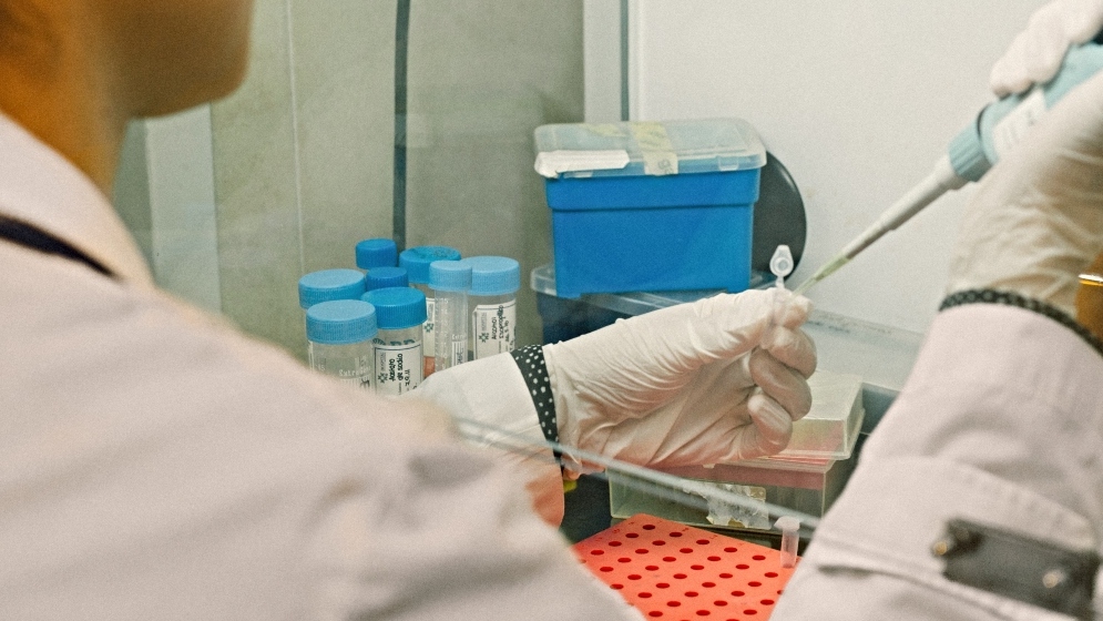 El estudio fue liderado por especialistas del CONICET en la Facultad de Ciencias Biomédicas de la Universidad Austral.